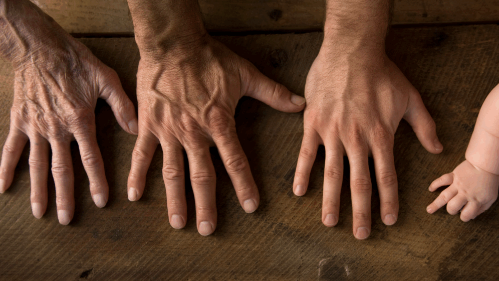 El Relevo Generacional: una oportunidad para el futuro de las empresas familiares